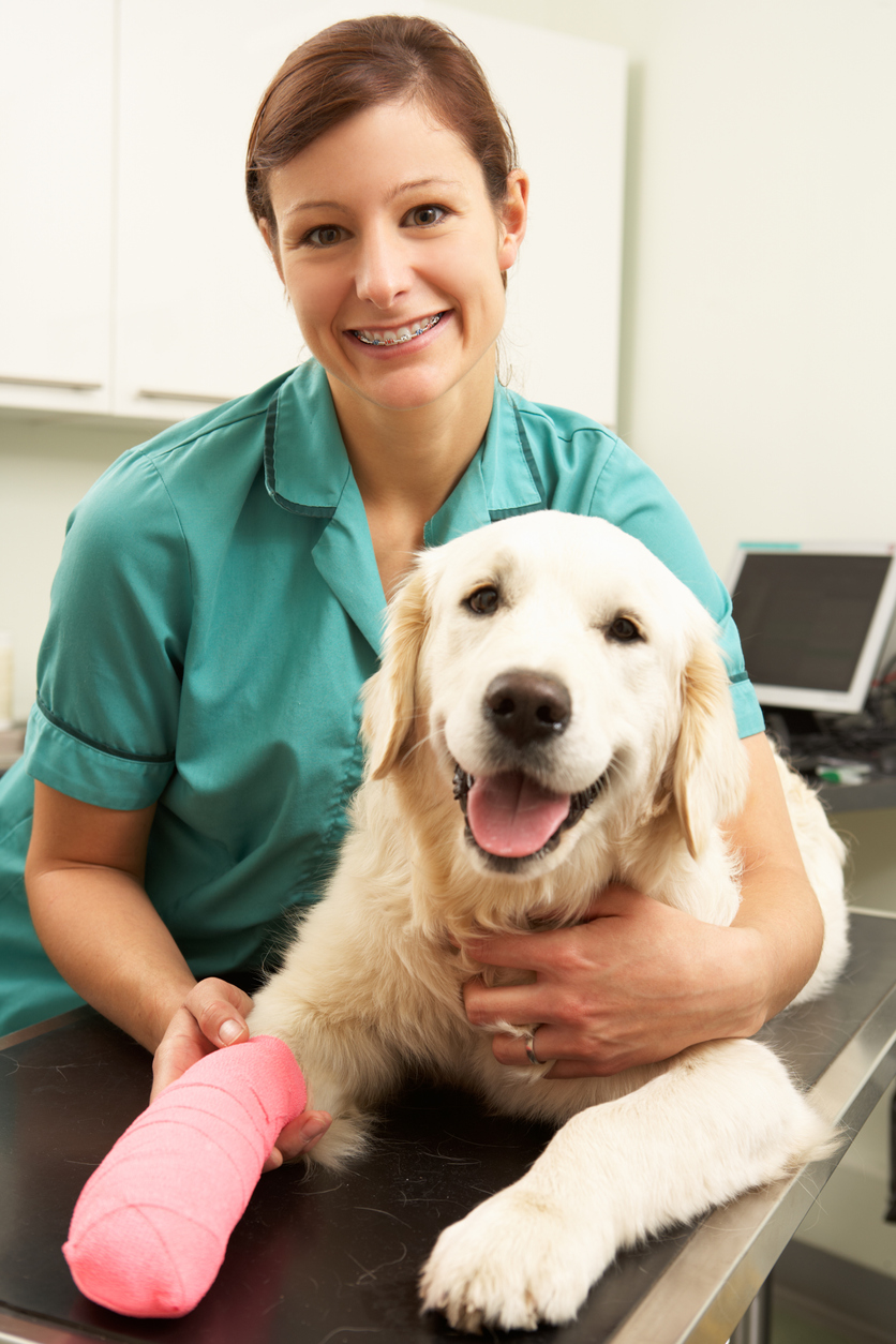 Veterinary Clinics In Valdosta GA